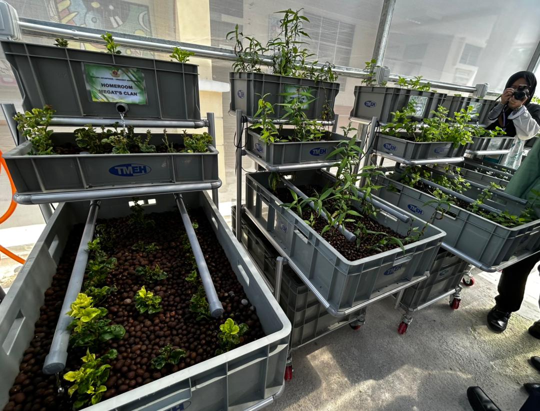 Sustainable Farming