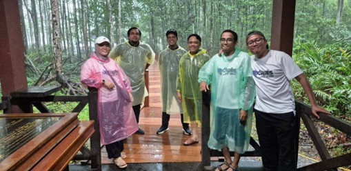 A large area being prepared for tree planting.