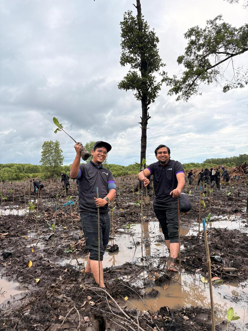 Volunteers planting trees at Kuala Sepetang.